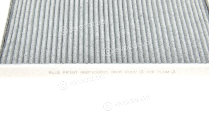 Blue Print ADBP250011