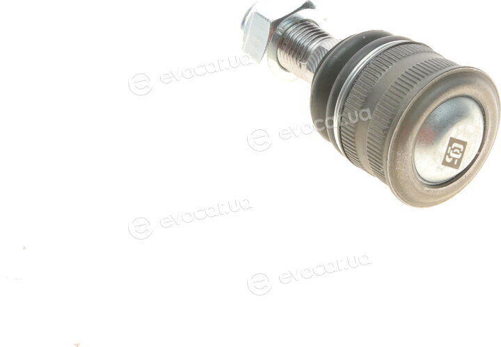 Solgy 203108