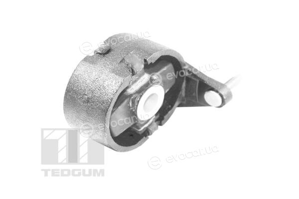 Tedgum TED26769