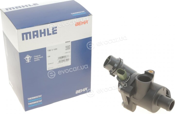 Mahle TM 3 100