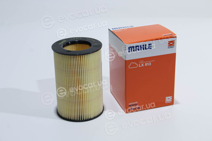 Mahle LX 813