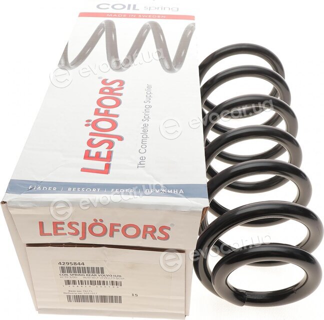 Lesjofors 4295844