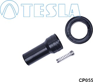 Tesla CP055