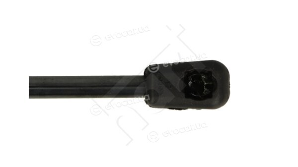 Hart 813 746