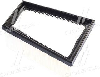 Champion CAF100724P