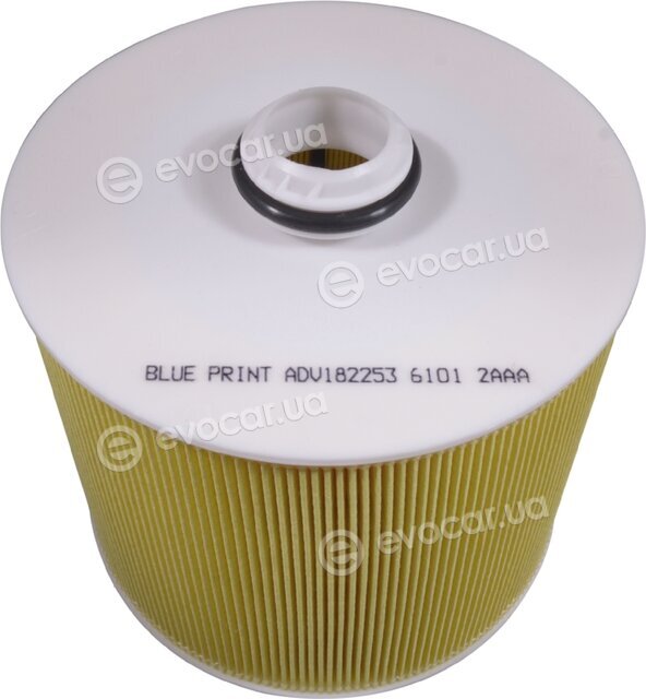 Blue Print ADV182253