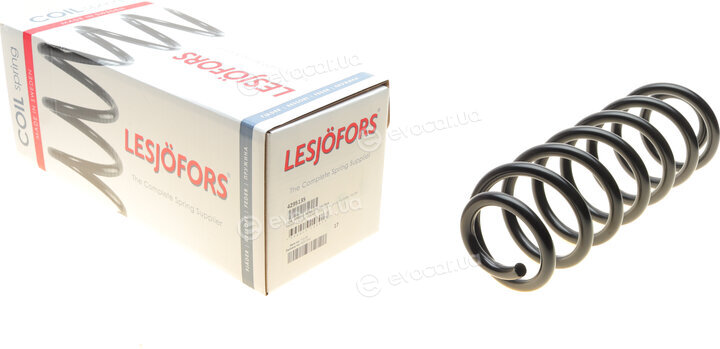 Lesjofors 4295135