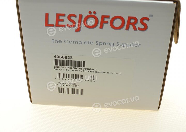 Lesjofors 4066823