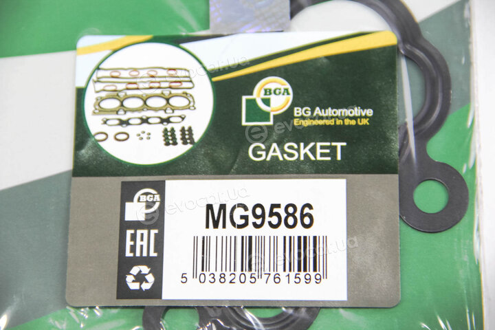 BGA MG9586