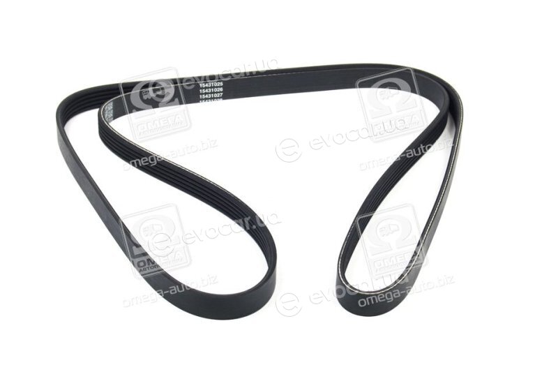 Dayco 5PK1815