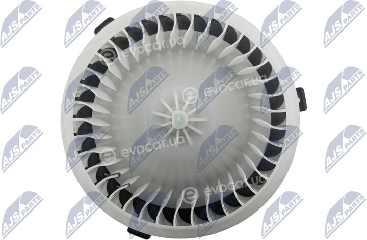 NTY EWN-PL-004