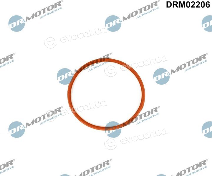 Dr. Motor DRM02206