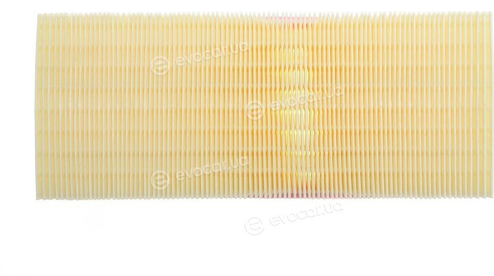 Solgy 103137