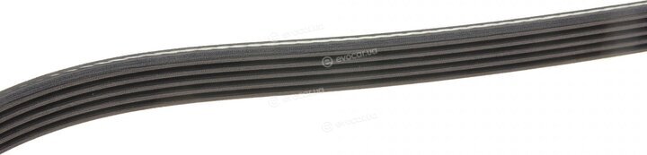 Dayco 5PK975