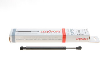 Lesjofors 8195089