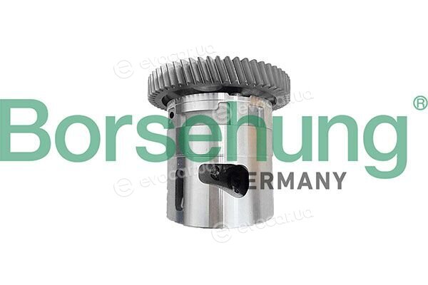 Borsehung B11905