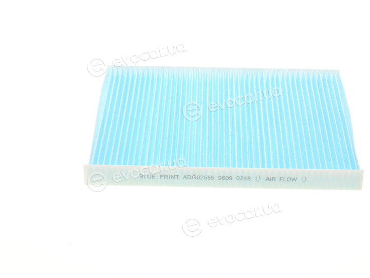 Blue Print ADG02555