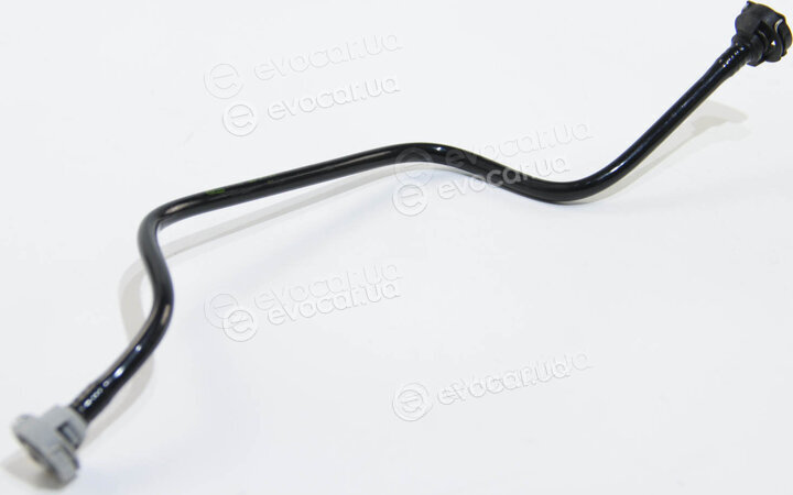 Rapro R25797