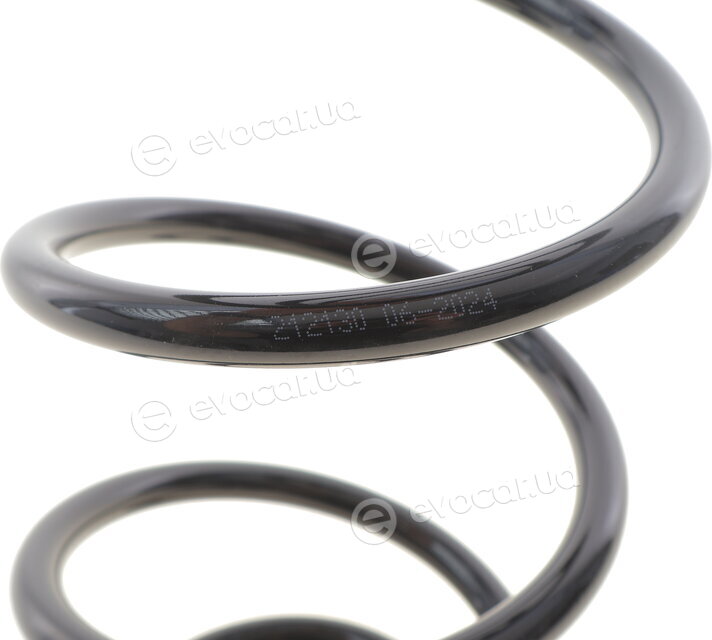 Solgy 212130