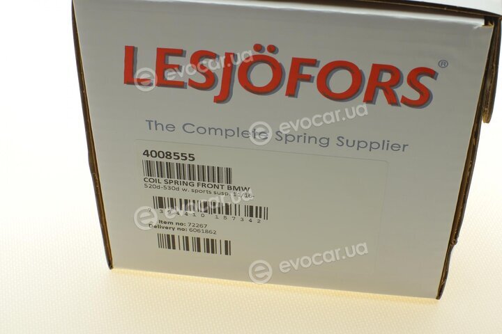 Lesjofors 4008555