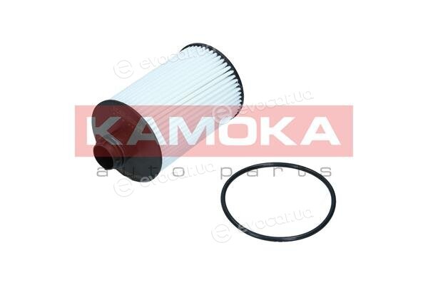 Kamoka F121001