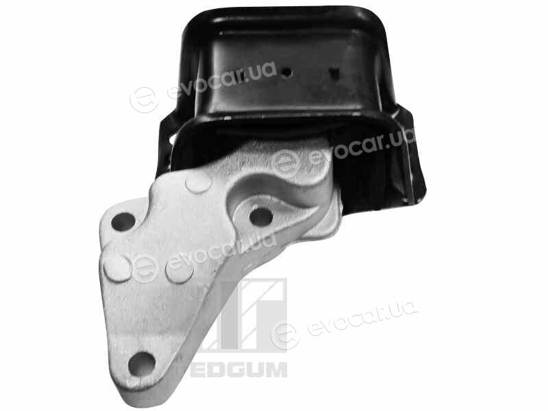 Tedgum 00511754