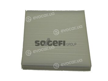 Coopers Fiaam PC8081