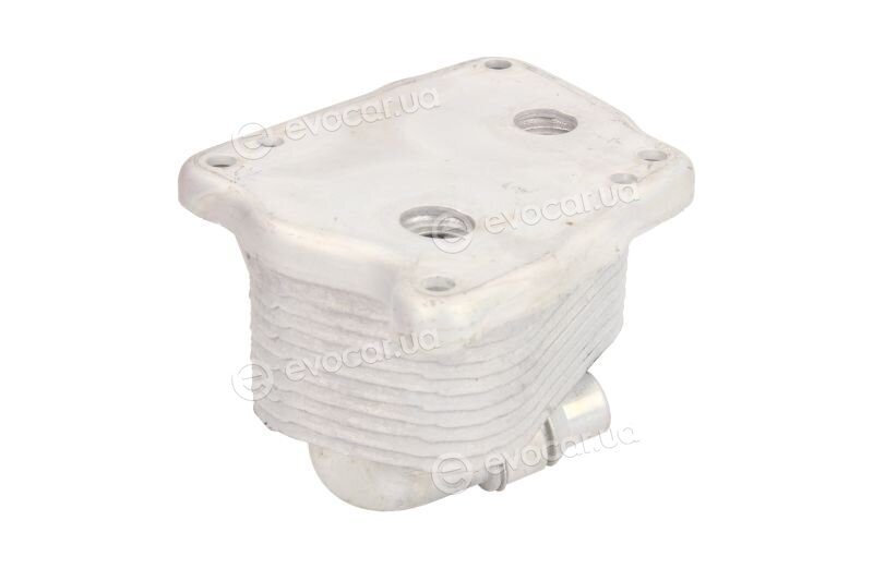 Thermotec D4B006TT