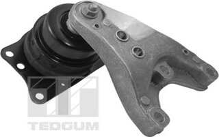 Tedgum 00729405