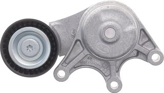 Dayco APV3276