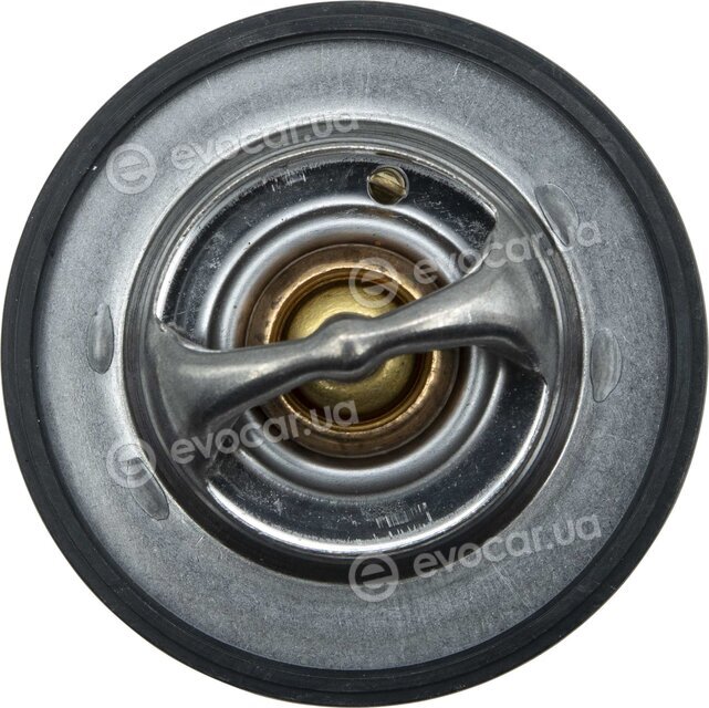 Motorad 665-85K