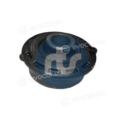 RTS 017-00513