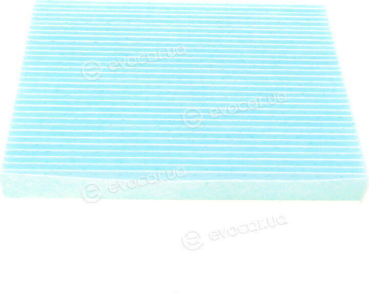 Blue Print ADG02588