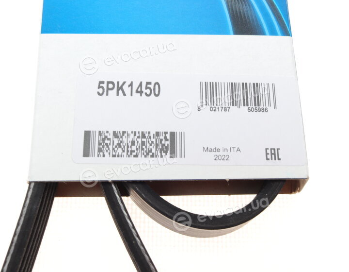 Dayco 5PK1450