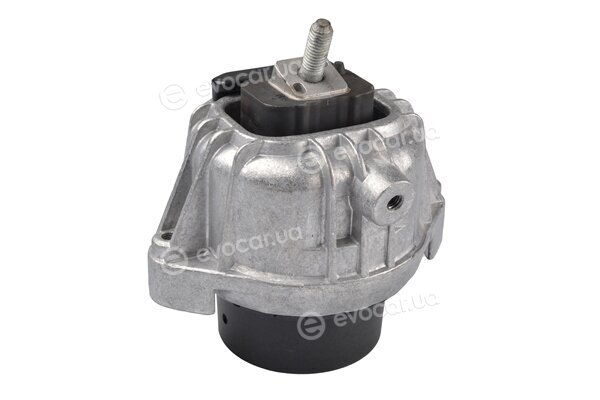 Tedgum TED60795