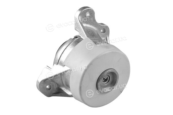 Tedgum TED46809