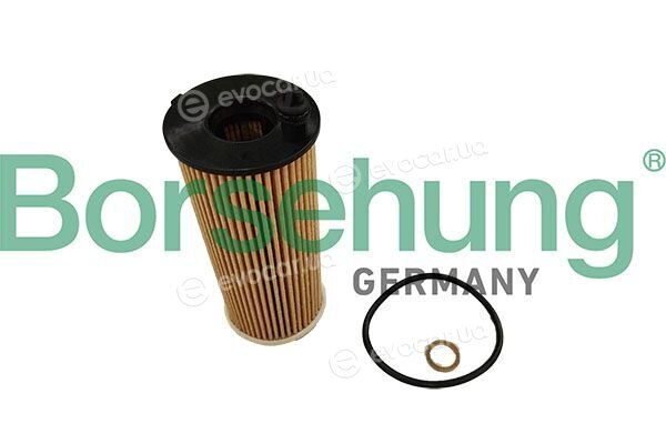 Borsehung B10447