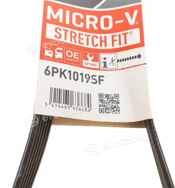 Gates 6PK1019SF