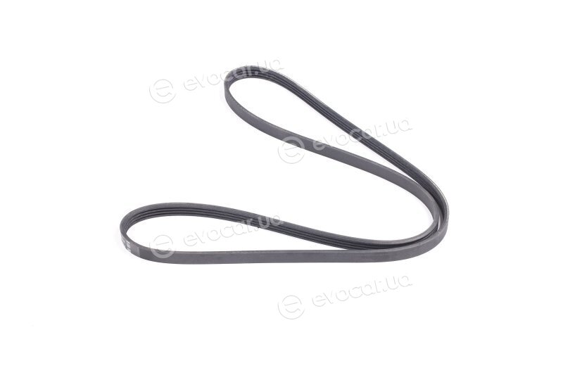 Dayco 4PK1310