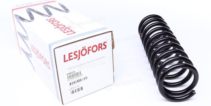 Lesjofors 4208408