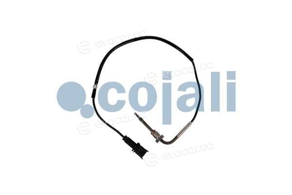 Cojali 2262016