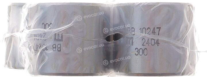 Mahle 029 BS 10265 300