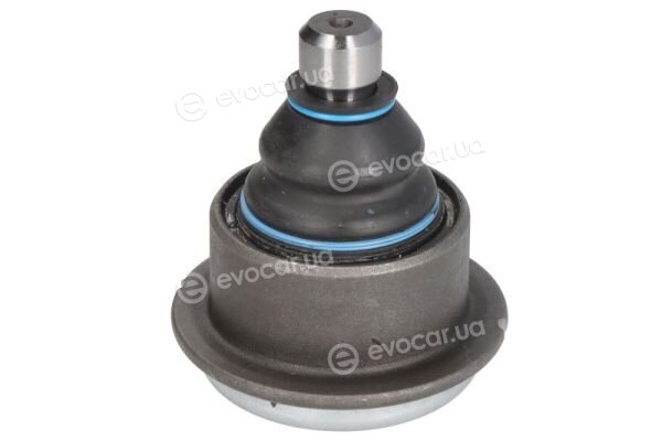 Reinhoch RH03-6013