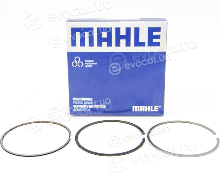 Mahle 016 02 N0