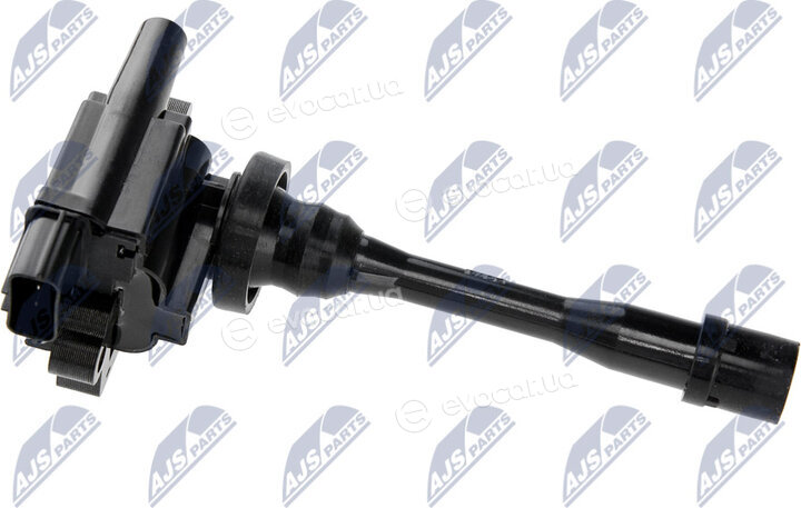 NTY ECZ-MS-006