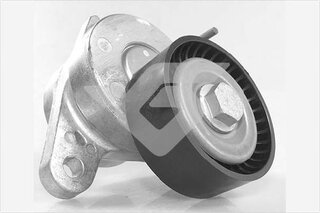 Hutchinson T0681