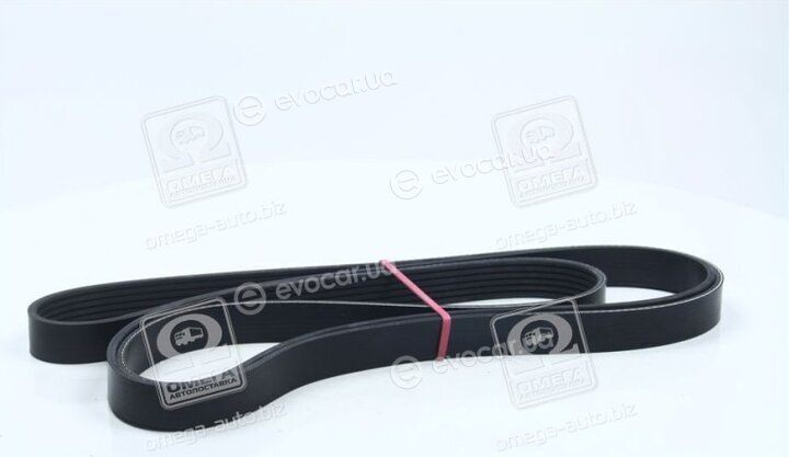 Dayco 6PK2135