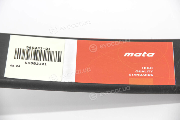 Mata 565033-01