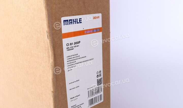 Mahle CI 81 000P