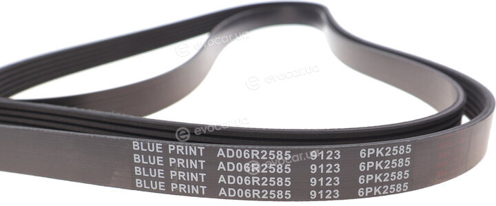 Blue Print AD06R2585